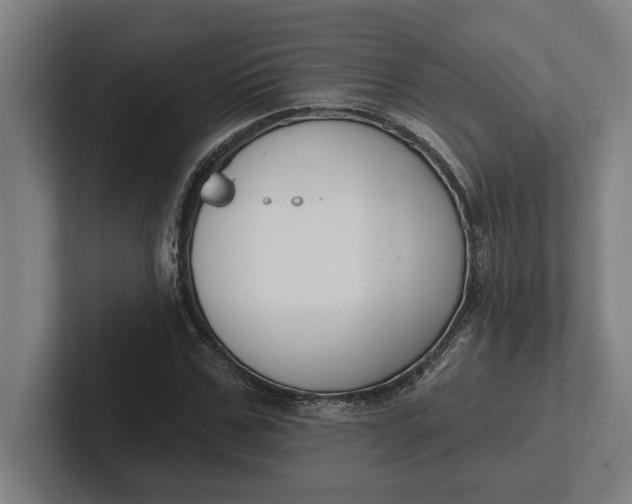 X0000102000971200808011118