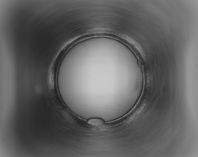 X0000102000973200808011118