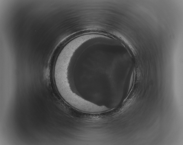 X0000102000975200808011118