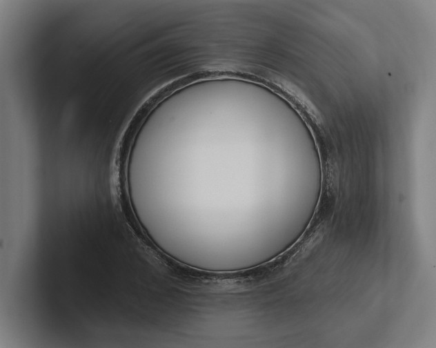 X0000102000976200808011118