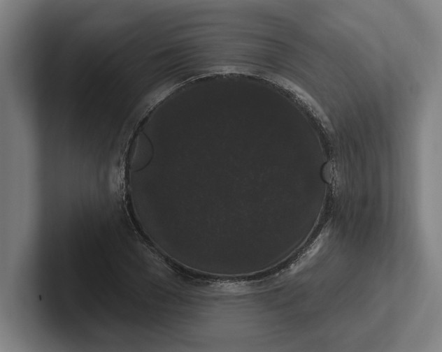 X0000102000977200808011118