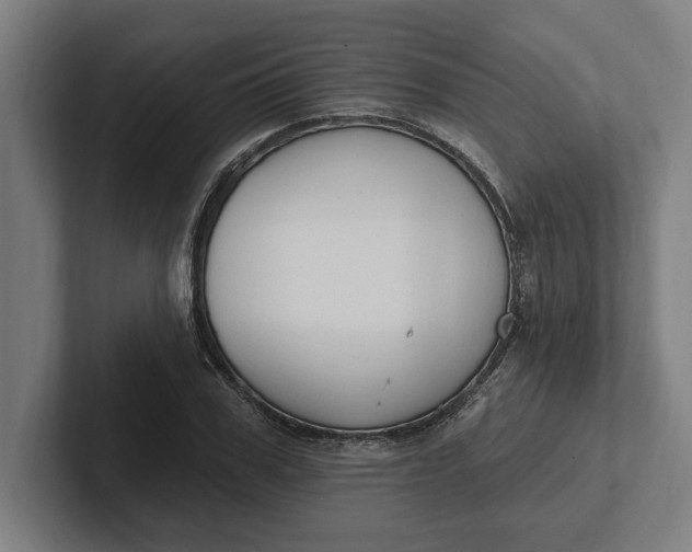 X0000102000979200808011118