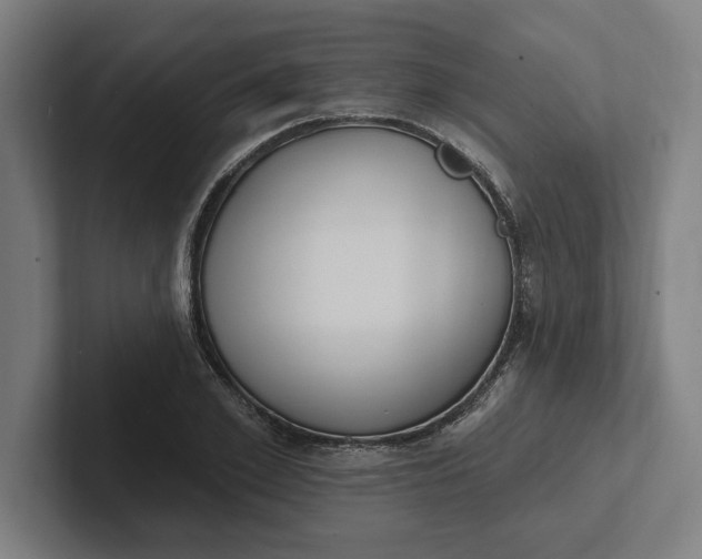 X0000102000981200808011118