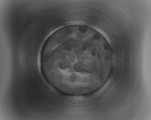 X0000102000983200808011118