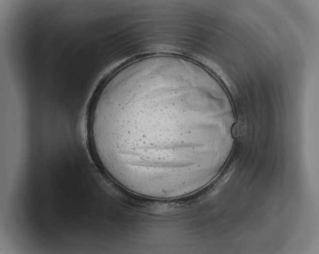 X0000102000987200808011118