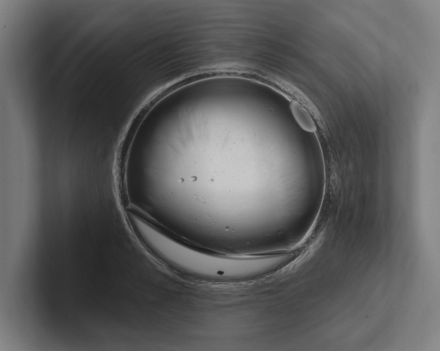 X0000102000989200808011118