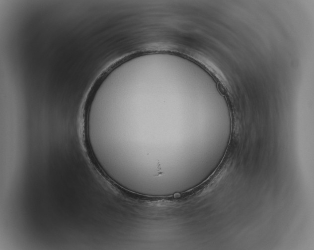 X0000102000992200808011118