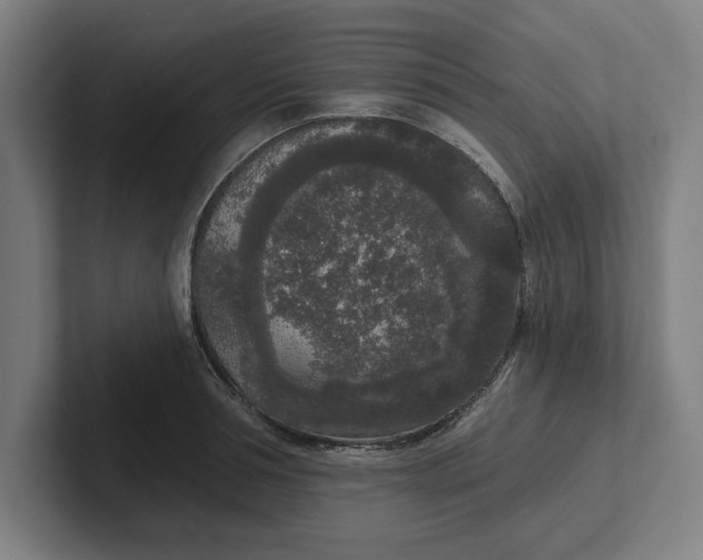 X0000102000994200808011118