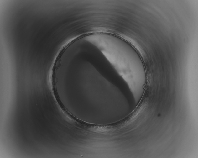 X0000102000995200808011118