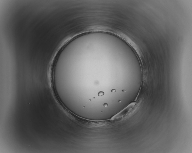 X0000102000997200808011118