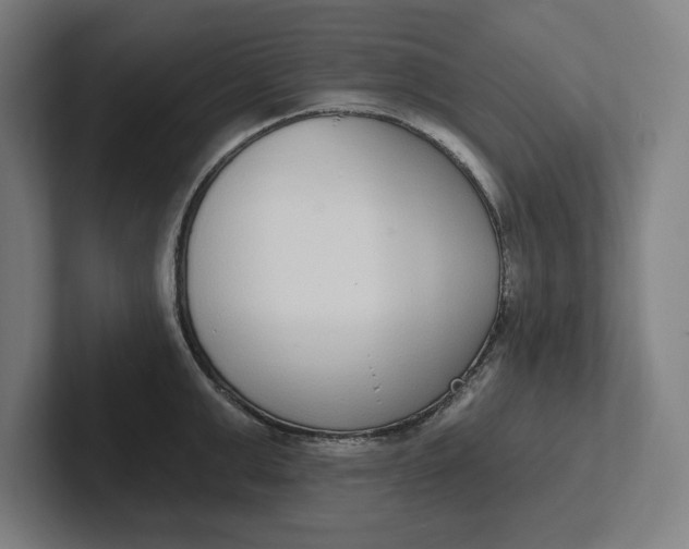 X0000102000999200808011118