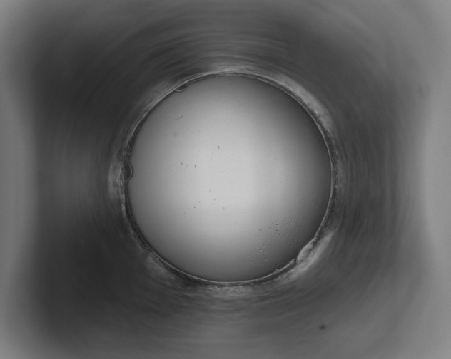 X0000102001001200808011118