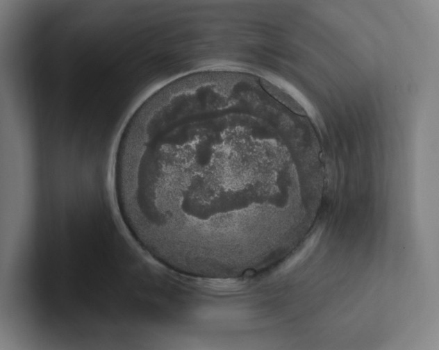 X0000102001007200808011118