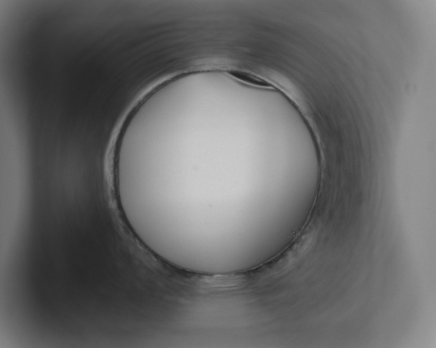 X0000102001008200808011118