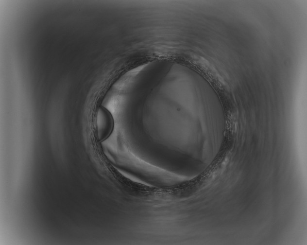 X0000102001009200808011117