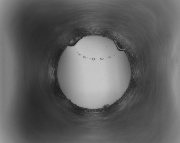 X0000102001010200808011117