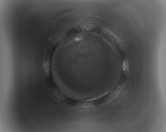 X0000102001011200808011117