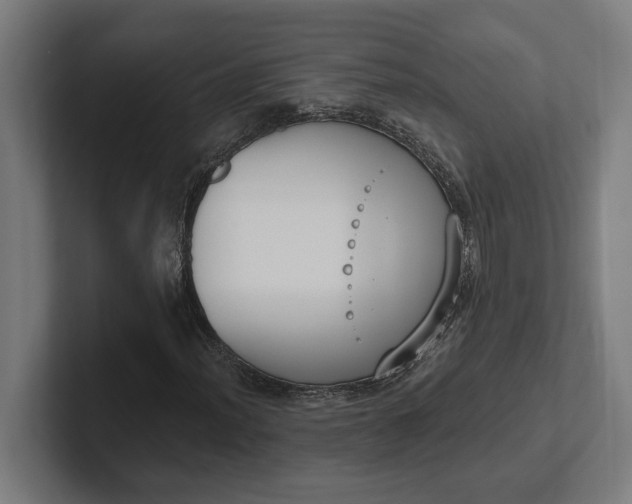 X0000102001012200808011117