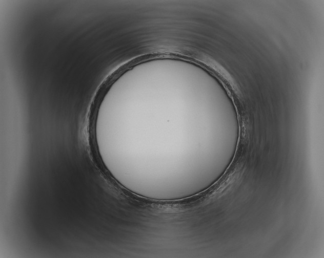 X0000102001020200808011117