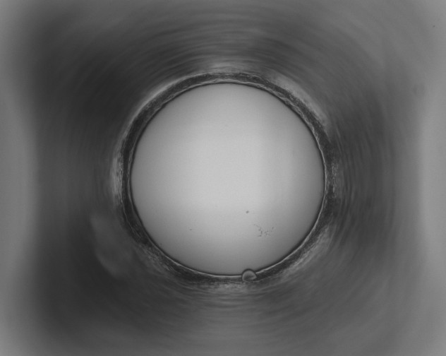 X0000102001021200808011117