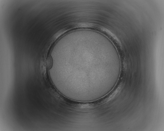 X0000102001025200808011117