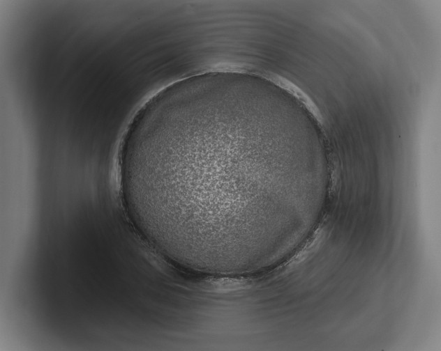 X0000102001027200808011117