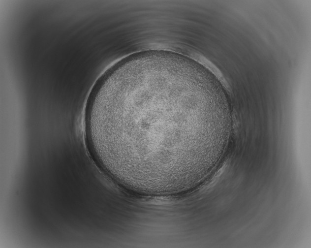 X0000102001028200808011117