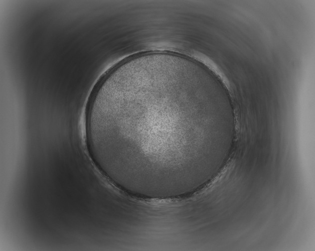 X0000102001032200808011117