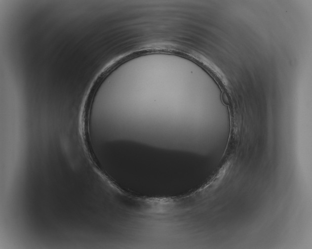 X0000102001037200808011117