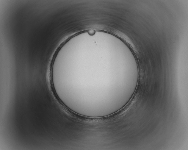 X0000102001040200808011117