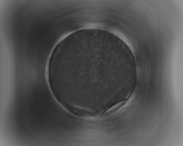 X0000102001045200808011117