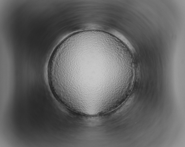 X0000102001047200808011117