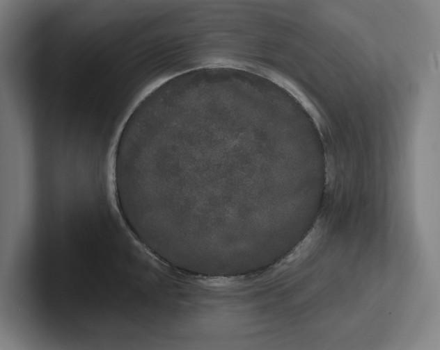 X0000102001048200808011117