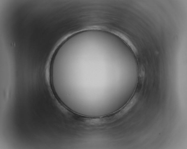 X0000102001054200808011118