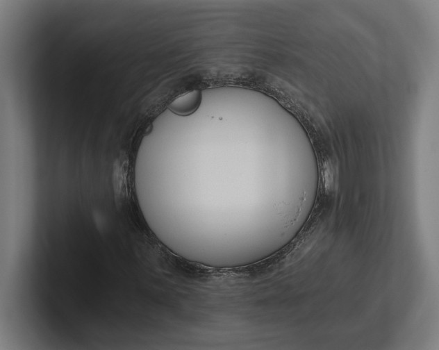 X0000102001059200808011117