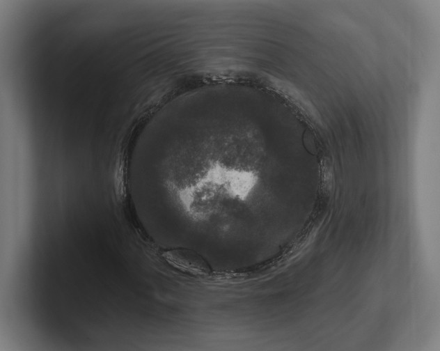 X0000102001060200808011117