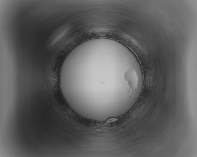 X0000102001062200808011117