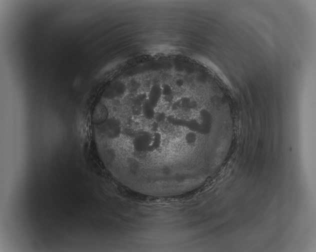 X0000102001063200808011117