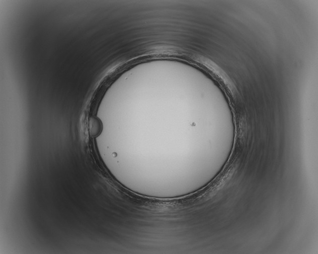 X0000102001067200808011117