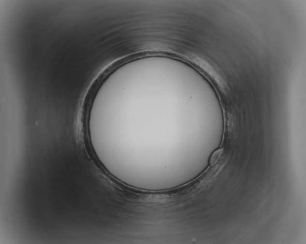 X0000102001068200808011117