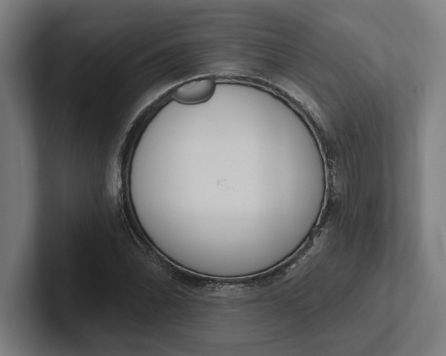 X0000102001070200808011117