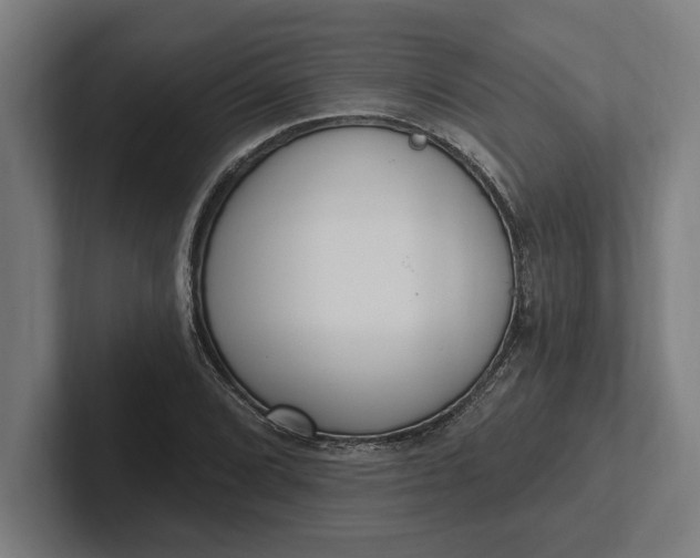 X0000102001072200808011117