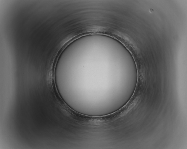 X0000102001073200808011117