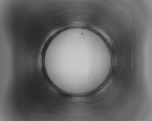 X0000102001075200808011117