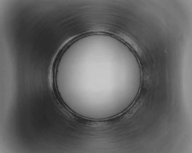 X0000102001076200808011117