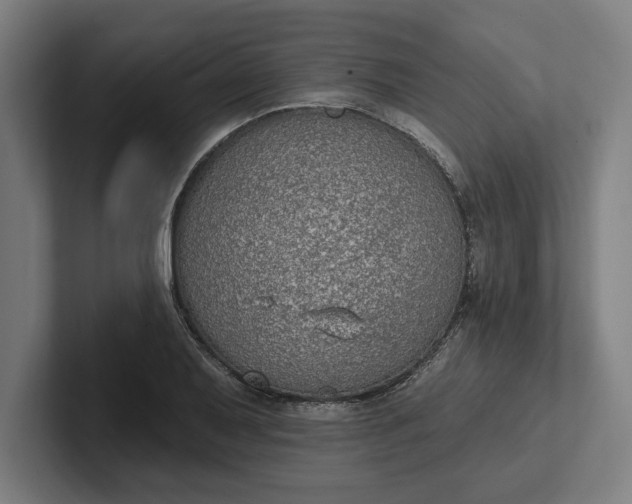 X0000102001079200808011117