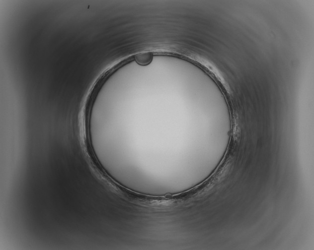 X0000102001080200808011117