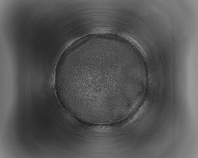 X0000102001081200808011117