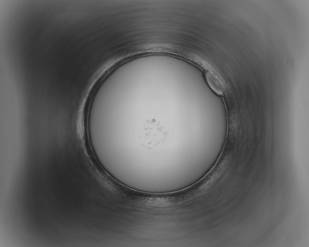 X0000102001082200808011117