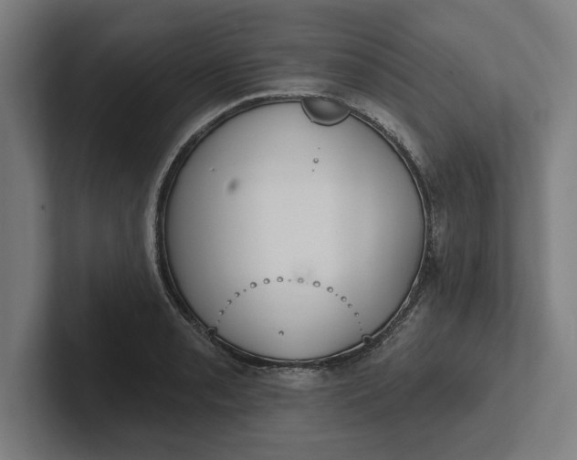 X0000102001085200808011117